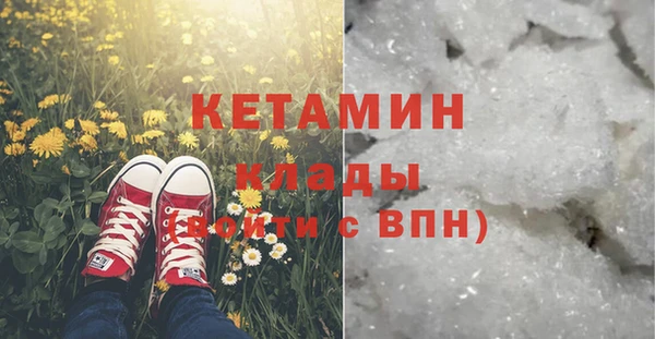 сатива Алзамай
