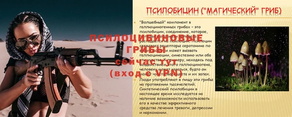сатива Алзамай
