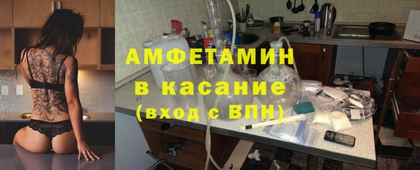 сатива Алзамай