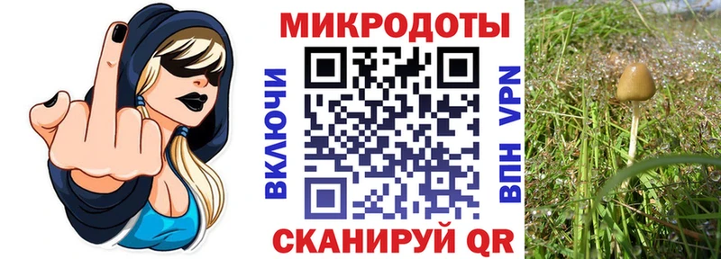 Псилоцибиновые грибы MAGIC MUSHROOMS  купить наркотик  Обоянь 